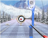 Archery world tour 3D autós