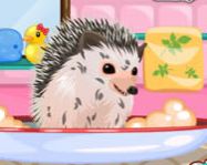 Cute hedgehog care ingyen html5
