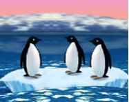Turbocharged penguins ingyen html5