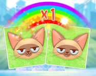 Kitten match HTML5 játék