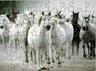 White horse jigsaw ingyen html5
