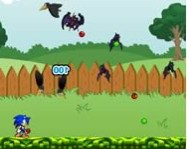 Sonic in garden tablet jtk