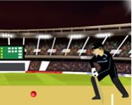 Cricket world cup HTML5 játék