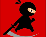 Mr Ninja fighter