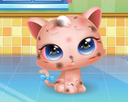 Cute Kitty care HTML5 játék