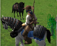 Horse riding simulator